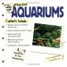Simple guide to planted aquariums