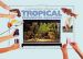 Setting up you Tropical Freshwater Aquarium